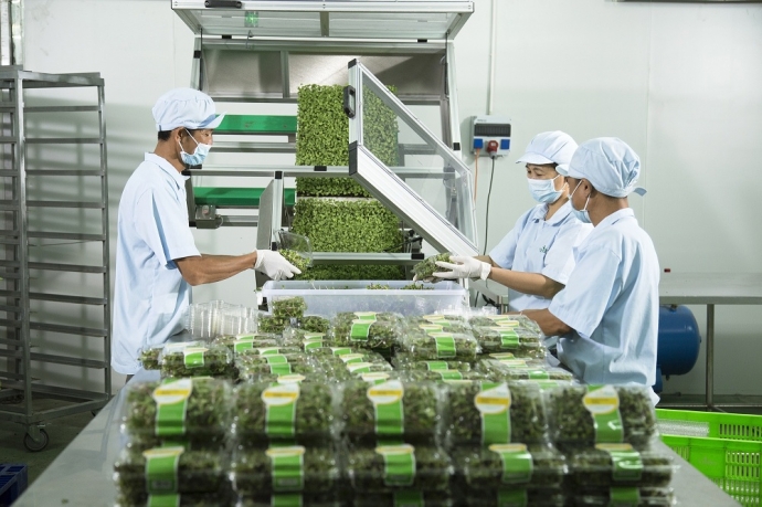 VinEco sẽ kiểm so&aacute;t chất lượng trong qu&aacute; tr&igrave;nh sản