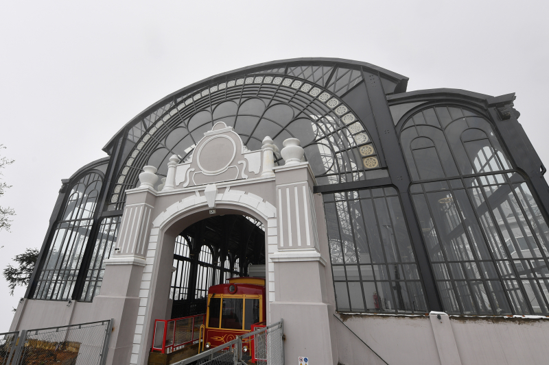 Tàu hoả leo núi 110