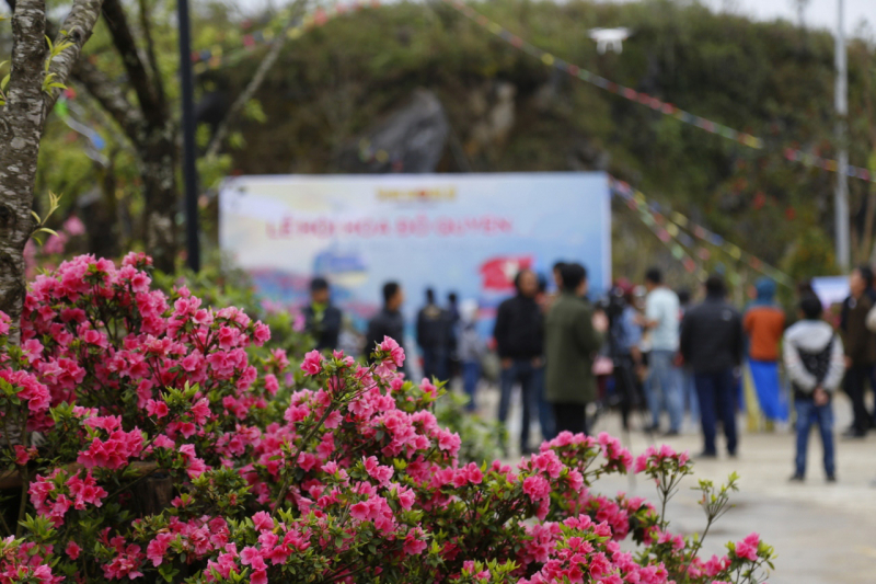 Le hoi hoa do quyen (2)