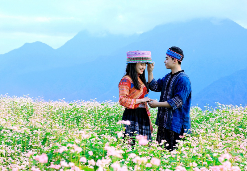 Hoa tam gi&aacute;c mạch Sun World Fansipan Legend (4)
