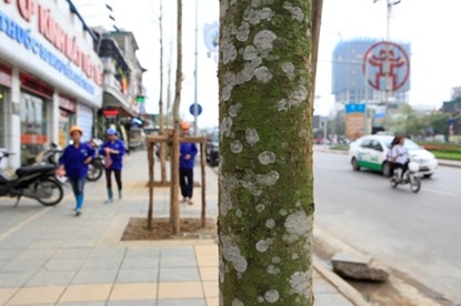 QKQG1_9__VQYH.JPG.ashx