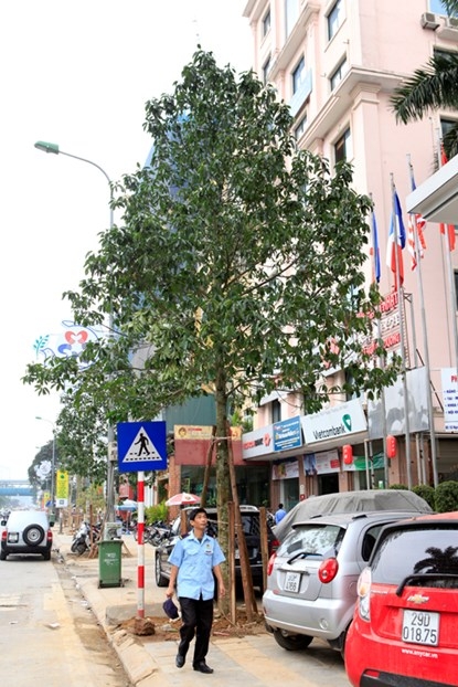 QRDV1_5__HWIA.JPG.ashx