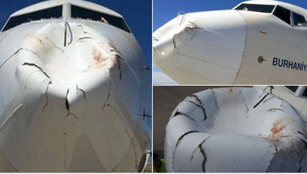 Untitled_CTJK.png.ashx