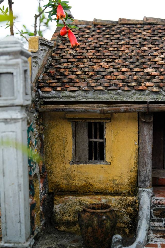 11233545_10205586908226059_4863049017414485904_n