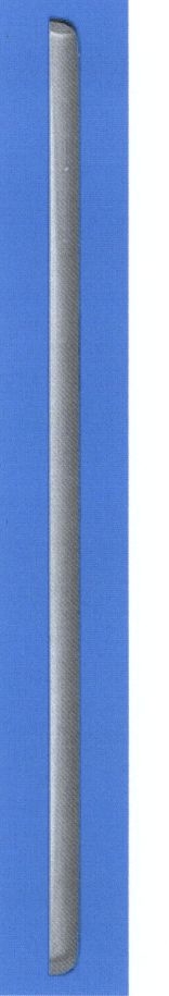 bpad-se-som-duoc-bkav-ra-mat-1583-1432703506-55655