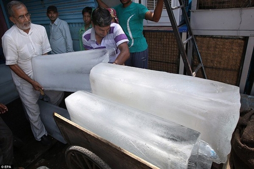 00_nangnong_28052015 (6)