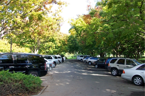 Do-xe-tranh-anh-nang-7202-1432783297