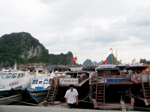 IMG-8988-JPG-2295-1435049966