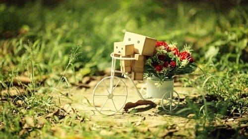 tu-vi-moi-nhat-thu-nam-ngay-1182016-cua-12-cung-ho