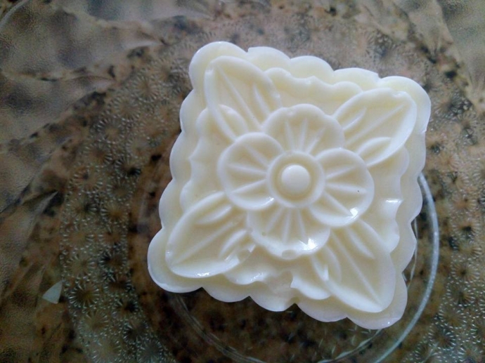 14237596_757334391071631_2740715550465845982_n