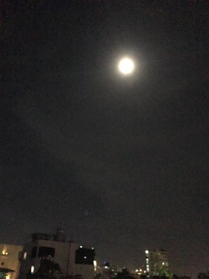 14980637_1294300537258786_639109310178752325_n