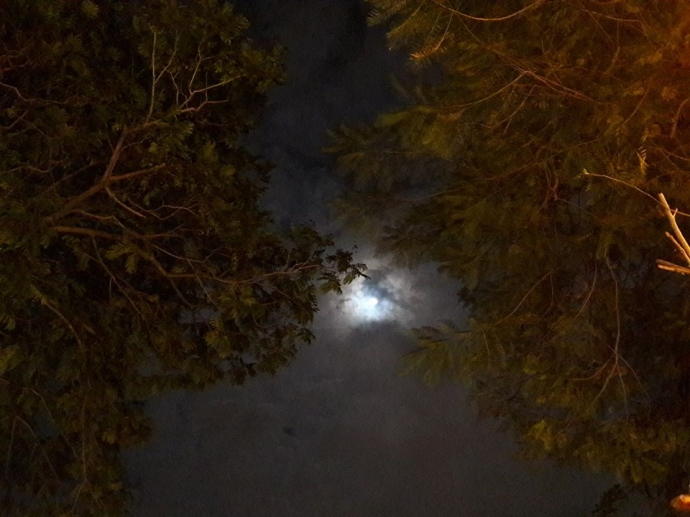 15046201_1205155612891240_1716770312_n