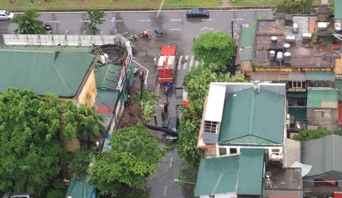 cay do de nat o to - bao so 1