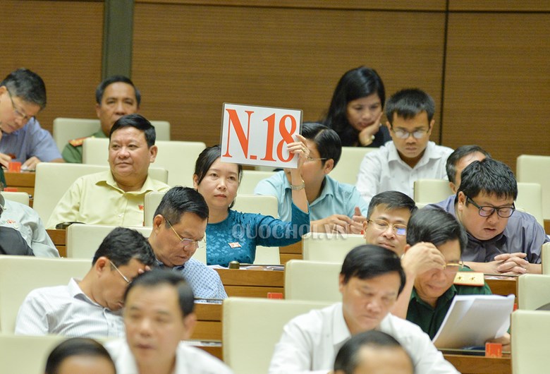 ĐB L&yacute; Tiết Hạnh xin tranh luận