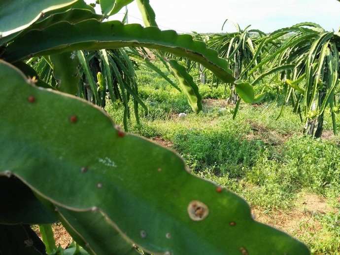 18053099_231810983963102_1081920167_o