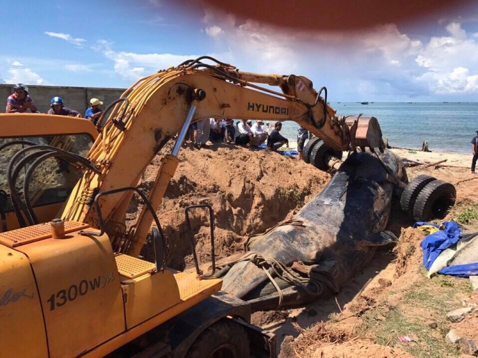 18518758_10203305233348080_1900713343_n