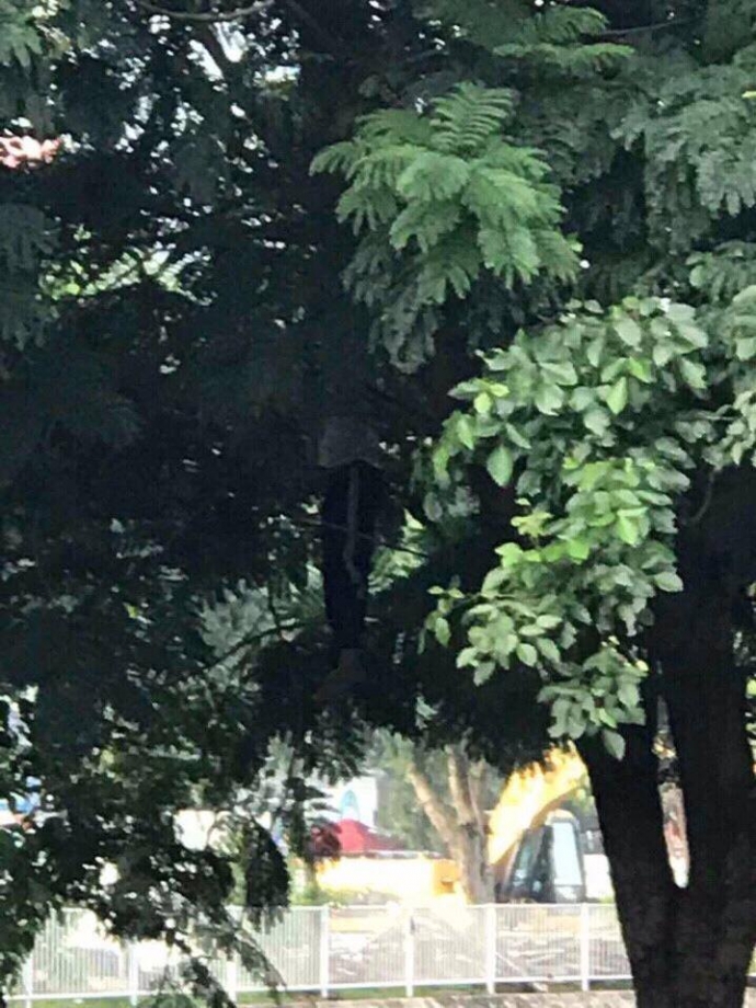 18788459_820508988099345_537431516_n