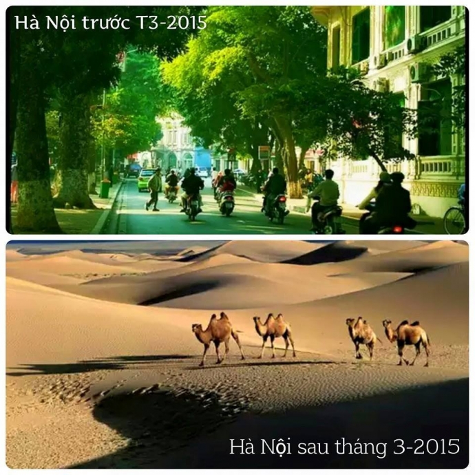 11051276_891092040911676_848232209_n