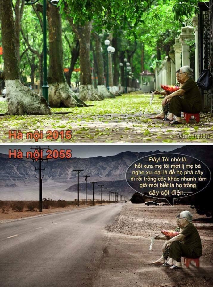 11068789_891092094245004_62416630_n