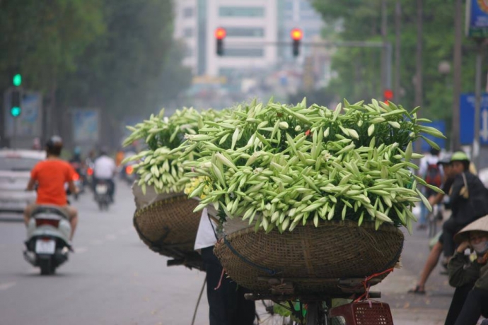 11037478_10205099716745439_4690259206398572817_n