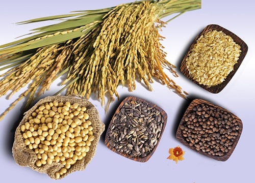 giam-can-hieu-qua-61-1414949093702