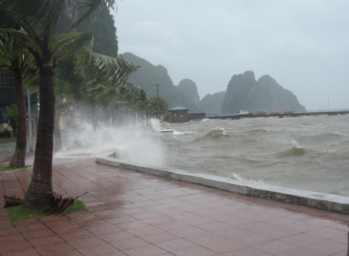 bao-1435034503830-0-0-2871-3905-crop-1435034510915