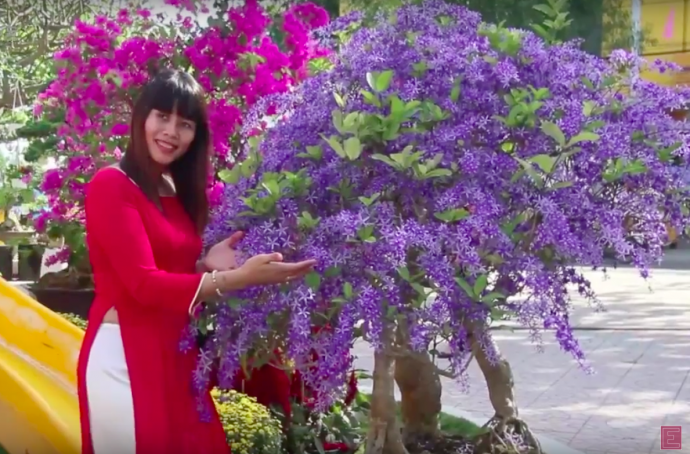 Ảnh chụp Màn hình 2016-02-07 lúc 9.41.20 SA