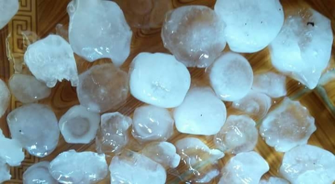 11609_256398751363688_2443019512274378201_n