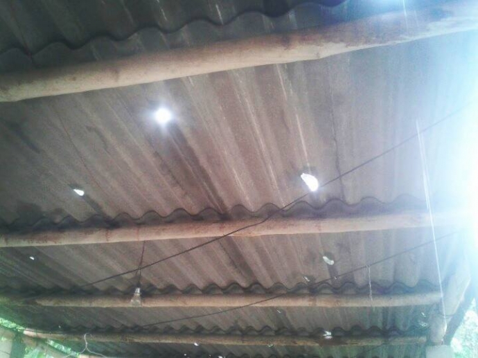 12920373_756650671137160_3650912263346733501_n