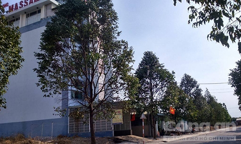 Co-gai-tu-thieu-trong-khach-san1