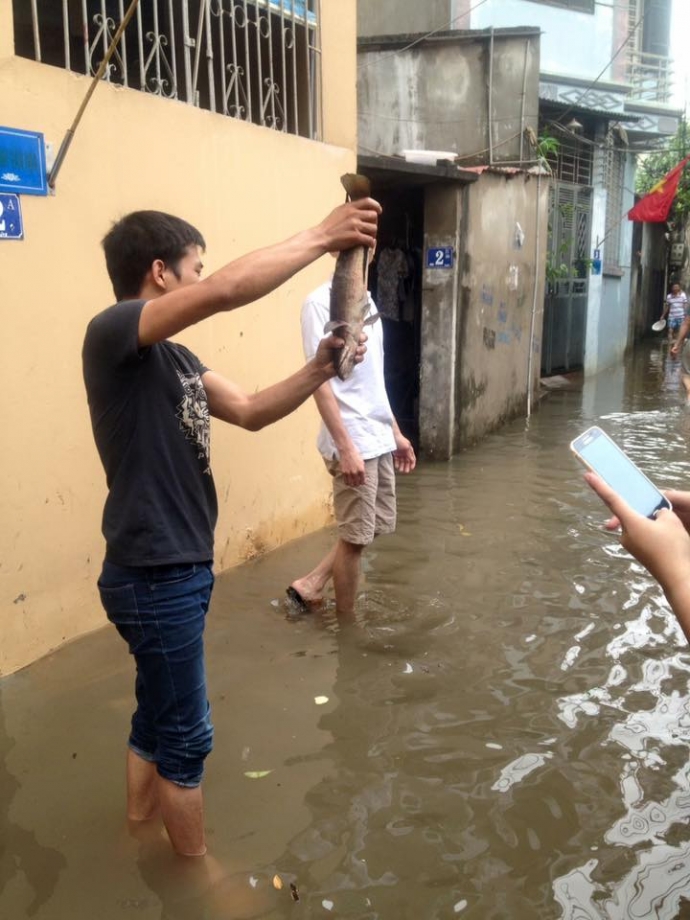 13241303_252220978469769_7262430469984338431_n