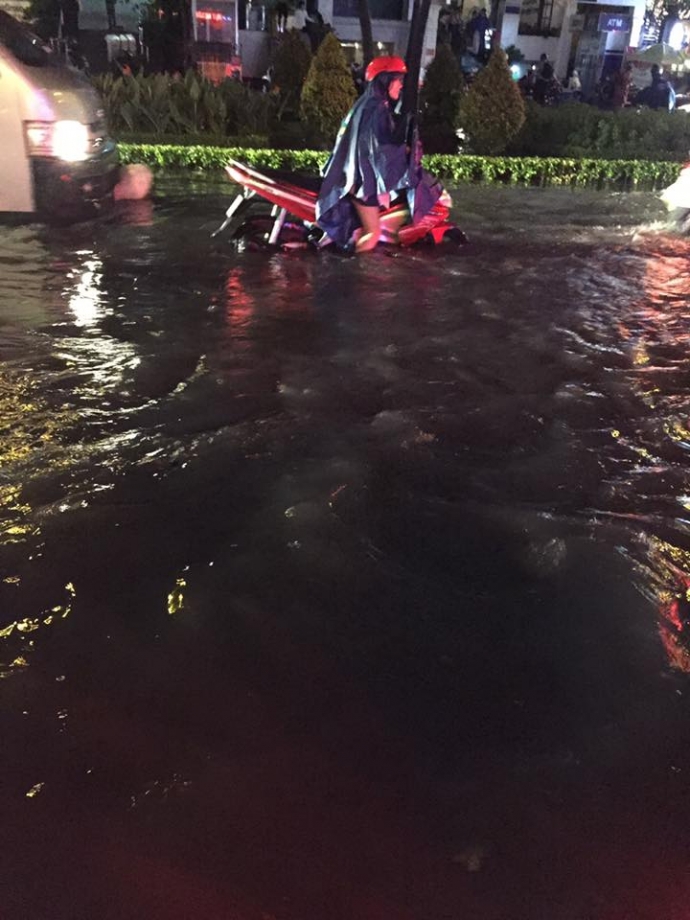 14063754_1312854575392630_3665081988095504156_n