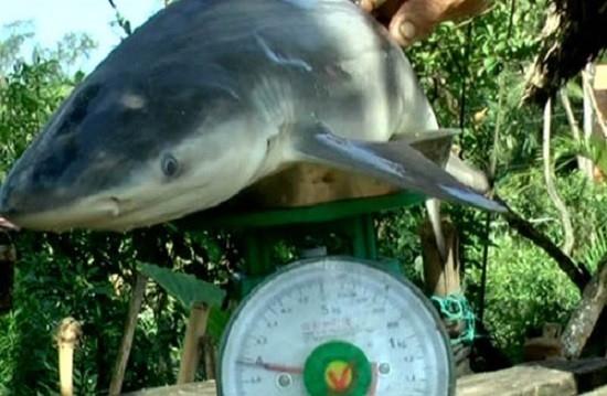 1472887145-anh1-1472883972-2582-1472885559