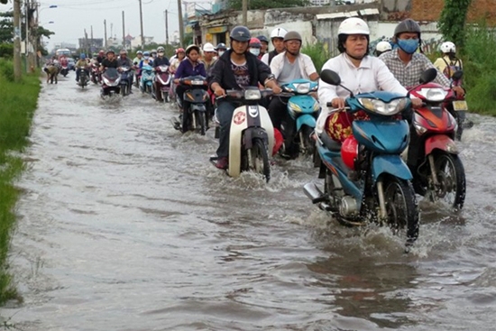 141929trieucuong250116