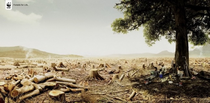 REDSVN-WWF-Deforestation-01