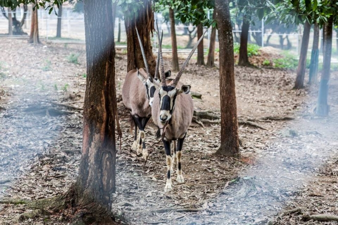 13627006_1097963763629777_4884694844075213139_n