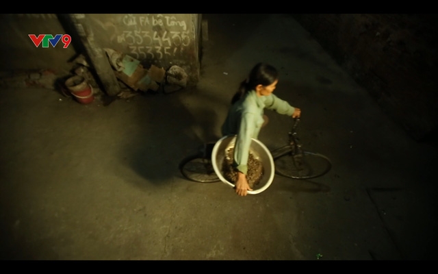 img20161229174002937