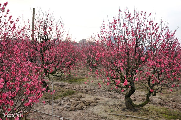 AAEAAQAAAAAAAARrAAAAJGY5OTNmM2NlLTU5ZTEtNDNhZC04Yj