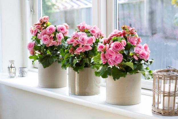 tu-vi-thu-tu-ngay-19-4-2017-2017-04-18