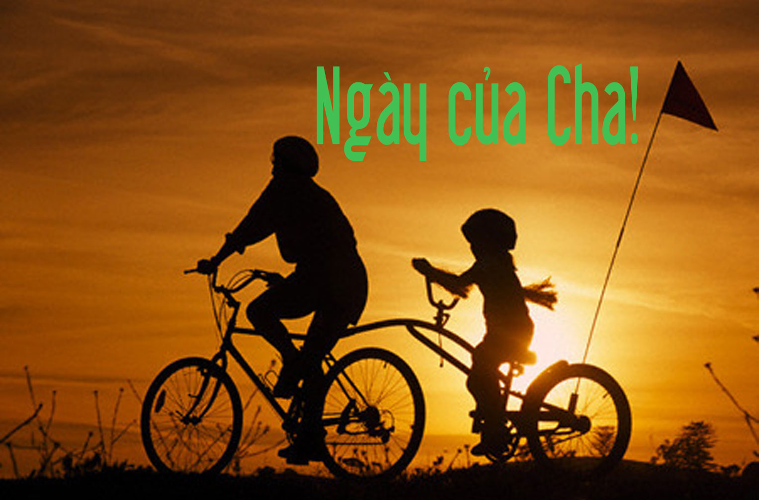 ngay-cua-cha