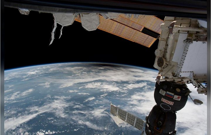 nhat-thuc-an-tuong-2017-7-7-0553140