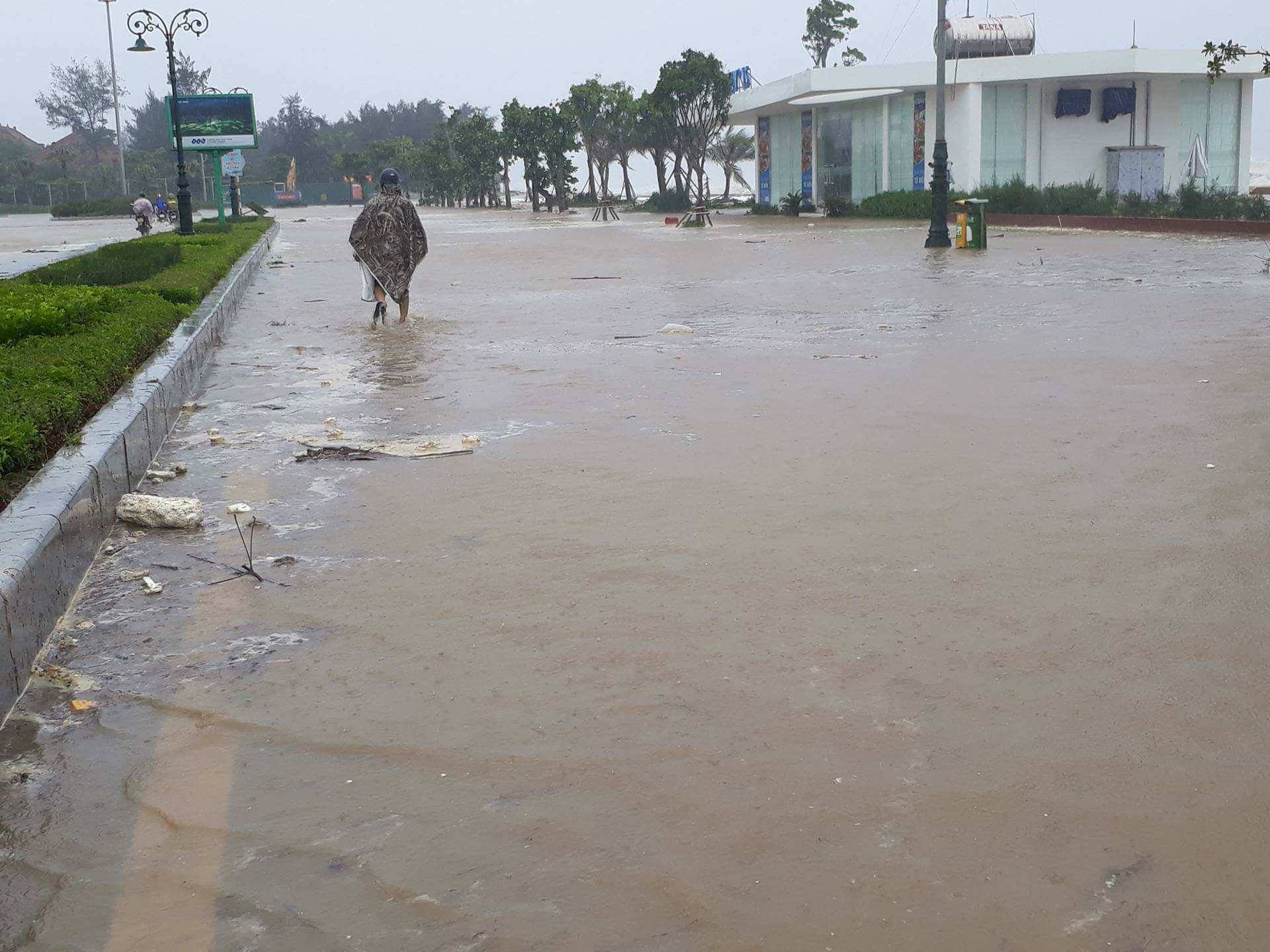 bao thanh hoa 5