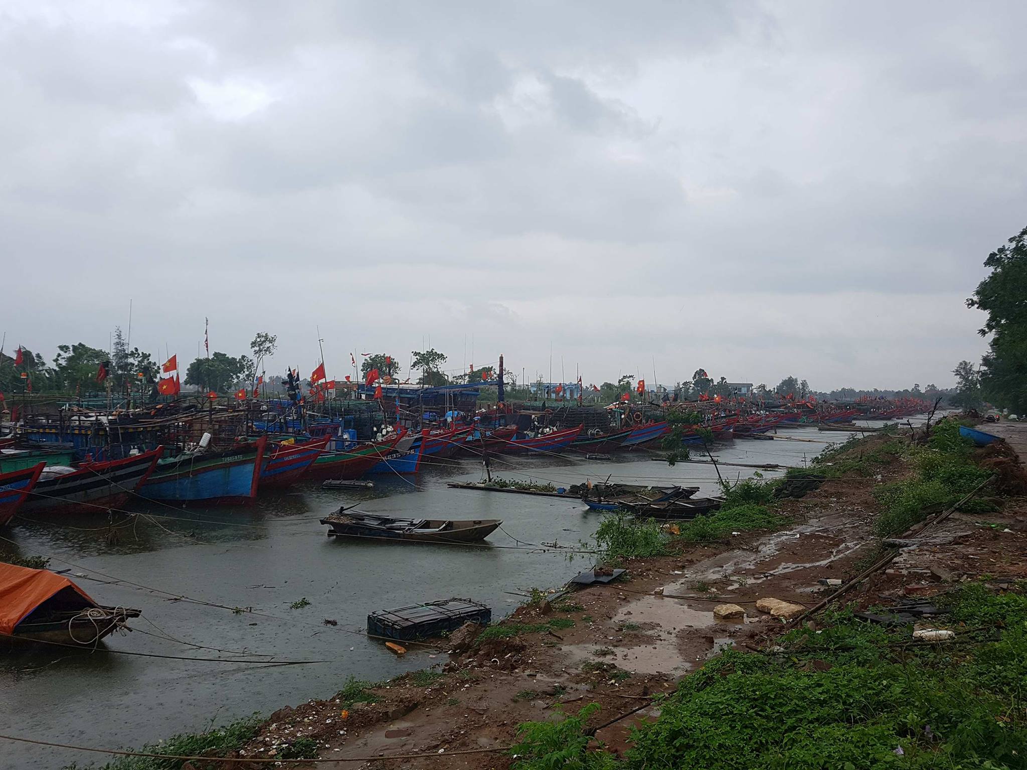 bao thanh hoa 15
