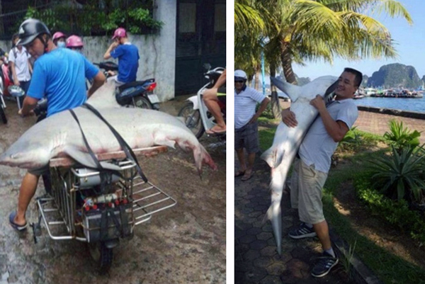 3987aca8-ab2d-469b-aea8-90cc4be83fac-0653174