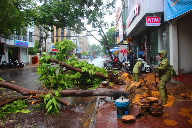 mua-lon-kem-gio-loc-khien-co-thu-bat-goc-duong-nga