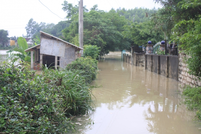 Lu-chong-lu-Binh-Dinh-ngup-lan-trong-dong-nuoc-bac