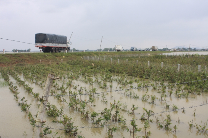 lU-VE-HON-15.000-HOC-SINH-TUY-PHUOC-NGHI-HOC-1