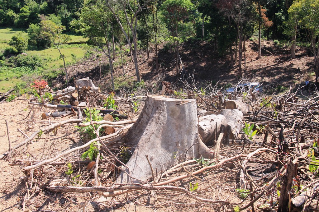 Hien-truong-tan-hoang-34ha-rung-bi-xoa-so-3