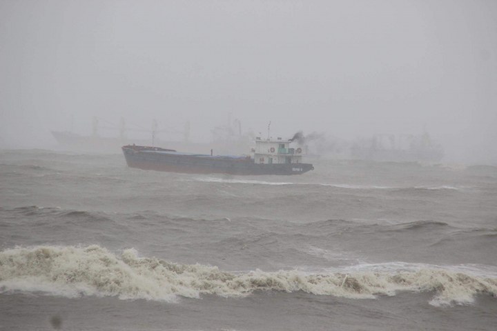 Hang-chuc-thuyen-vien-gao-nan-Binh-Dinh-keu-cuu-ch