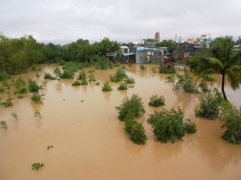 Nuoc-lu-bua-vay-nguoi-dan-Quy-Nhon-boi-song-giua-p